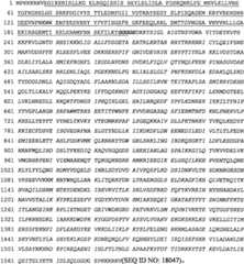 Figure BPA0000291811450003841