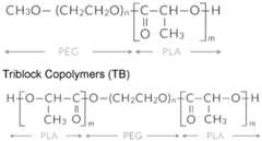 Figure imgf000017_0001