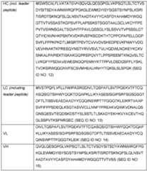 Figure imgf000021_0001