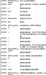 Figure BDA0000057170160001041