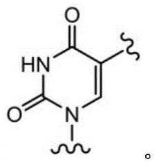 Figure BDA0003670511740001695