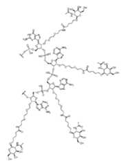 Figure imgf000020_0001