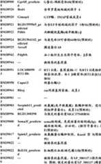 Figure BDA0000057170160001361