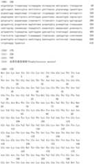 Figure IDA0001907973580002531