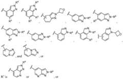 Figure imgf000250_0002