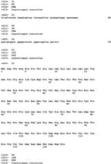 Figure imgb0175