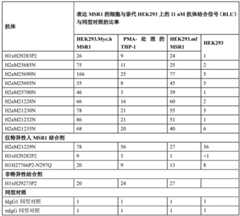 Figure BDA0002889616220002351