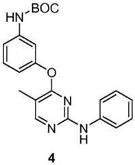 Figure BDA0001453135130002571