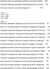 Figure IDA0002935257620000221