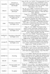 Figure PCTCN2022090268-appb-000091