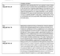 Figure imgf000169_0001