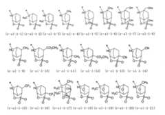 Figure 0007394591000036