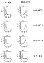 Figure 112015003553152-pat00042