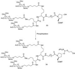 Figure imgf000174_0001
