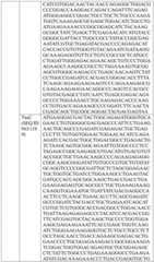 Figure BDA0004033970230006121