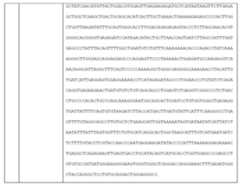 Figure imgf000495_0001