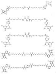 Figure 112016067511405-pct00495