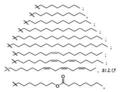 Figure 0007488193000282