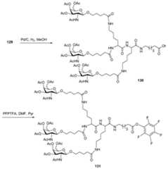 Figure 112016114379466-pct00230