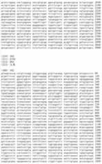 Figure IDA00002091897101731