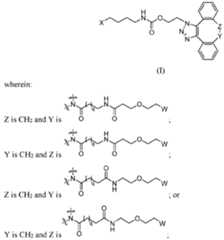 Figure imgf000025_0001