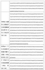 Figure 108128641-A0202-12-0143-877