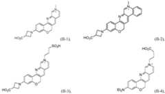 Figure imgf000030_0001