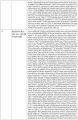 Figure BDA0002317806370000561