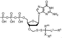 Figure imgf000218_0003