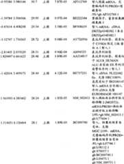 Figure BPA00001280678302641