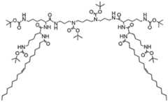Figure imgf000016_0001