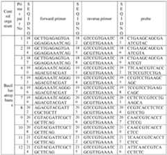 Figure imgf000016_0001