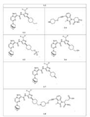 Figure imgf000016_0001