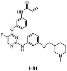 Figure BDA0001453135130002781