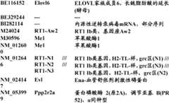 Figure BDA0000057170160000671