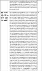 Figure BDA0002508391090001291