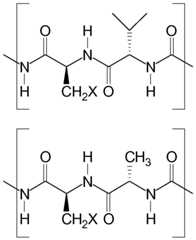 Figure imgf000913_0001