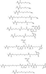 Figure FDF0000007358010000021