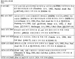 Figure 112005012020318-pct00008