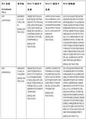 Figure BDA0004089703340001641