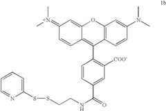 Figure US07057026-20060606-C00002