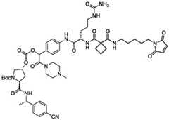 Figure BDA0004113777320001491