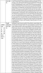 Figure BDA0004033970230005561