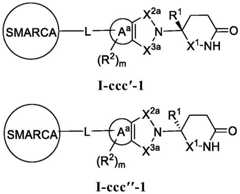 Figure BDA0003783300830001271