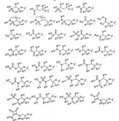 Figure imgf000496_0001