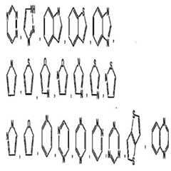 Figure 112009024346709-pct00005