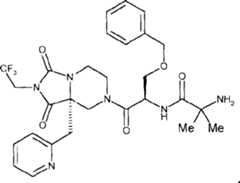 Figure A0214334900263