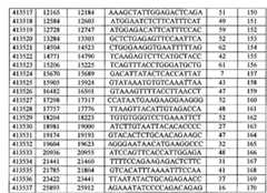 Figure BPA00001388922800471