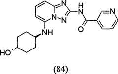 Figure GPA00001035513101001
