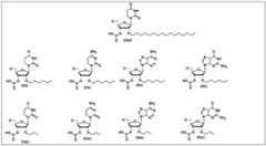 Figure BDA0003746740800002891